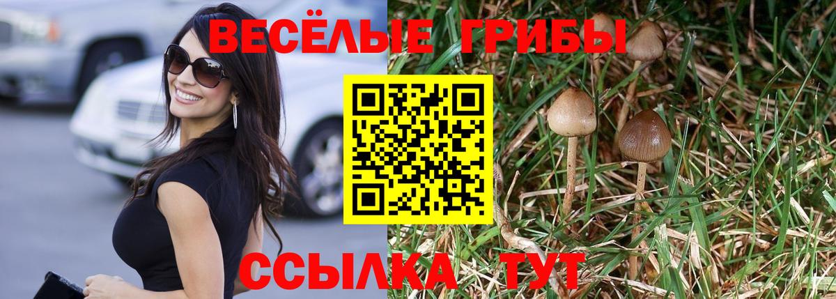 Каменск-Уральский  Галлюциногенные грибы Psilocybine cubensis  Вход с VPN 